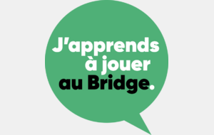 Le bridge c'est QUOI ?