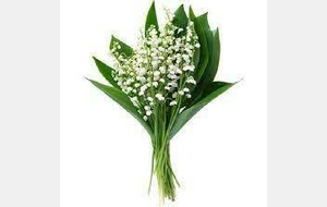 Un petit brin de muguet