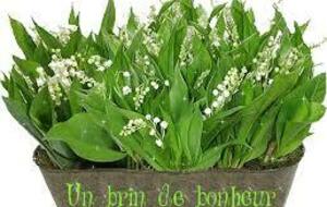Joli mois de Mai