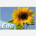 EDC