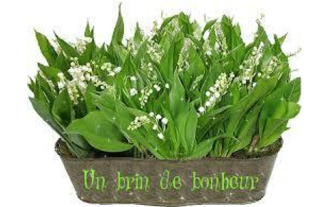 Joli mois de Mai